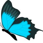 Blue Butterfly Icon.